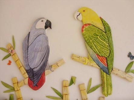 parrot-2